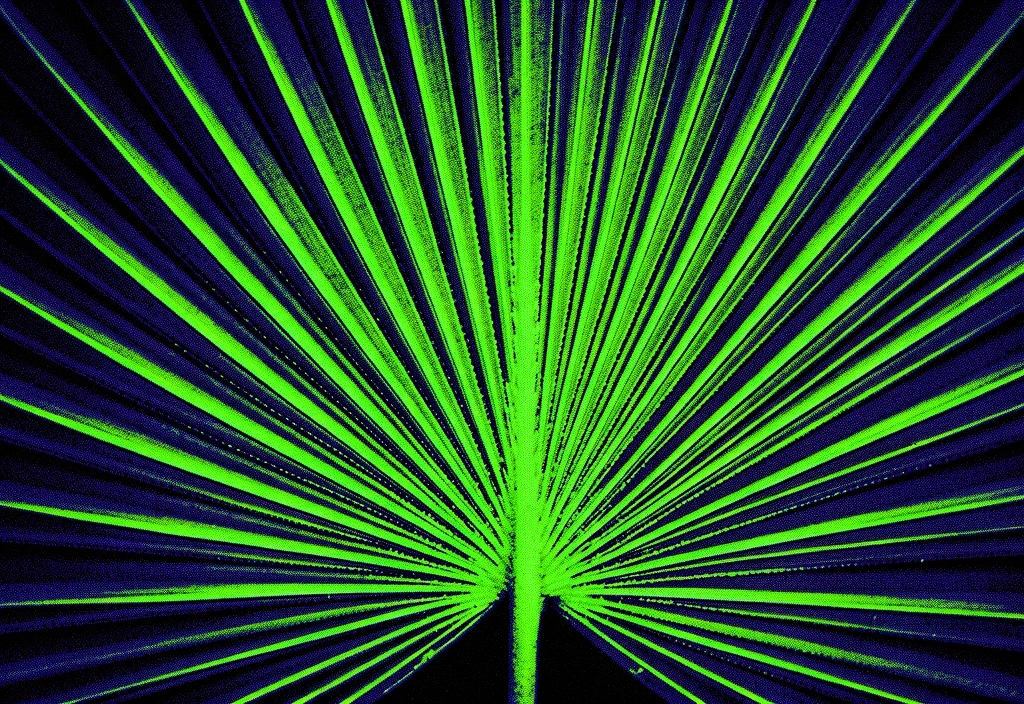 Detail Natural Kontrol Kesehatan